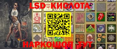 Альфа ПВП Ярославль