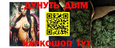 Альфа ПВП Ярославль