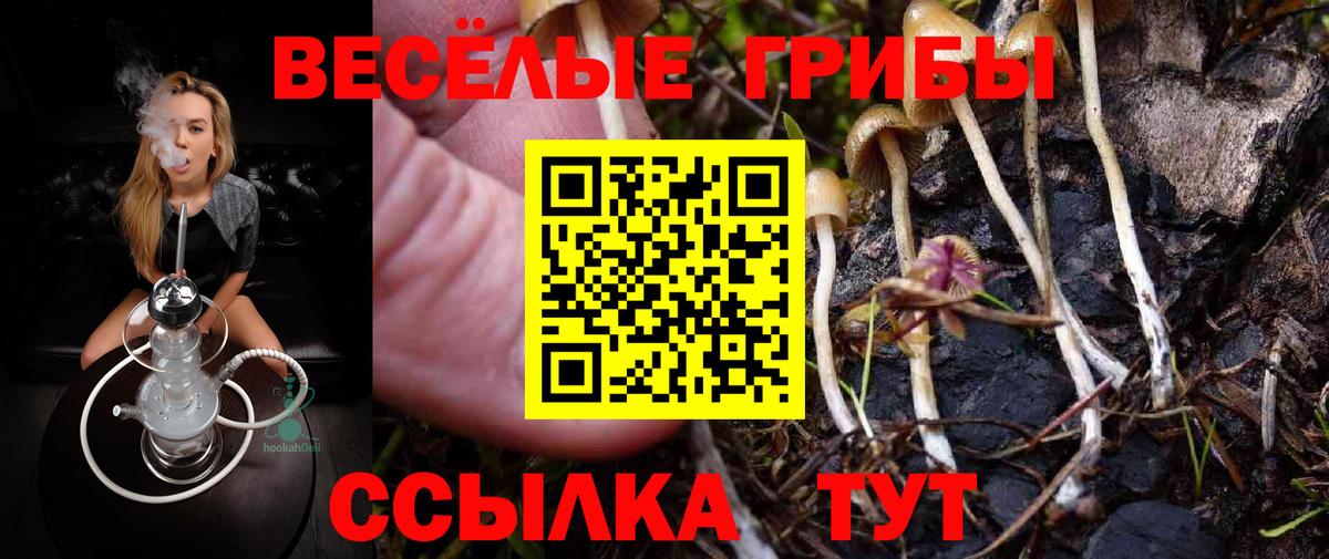 Псилоцибиновые грибы MAGIC MUSHROOMS  купить   Асино  Вход с VPN 
